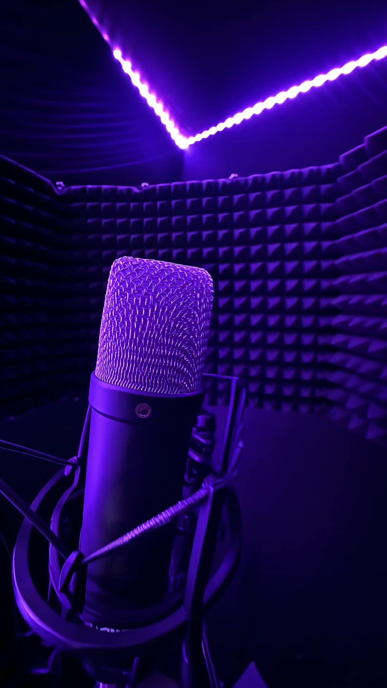 The vocal booth in the music studio: a large-diaphragm condenser mic in a foam-treated booth.